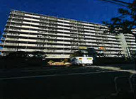 ハイラーク木場