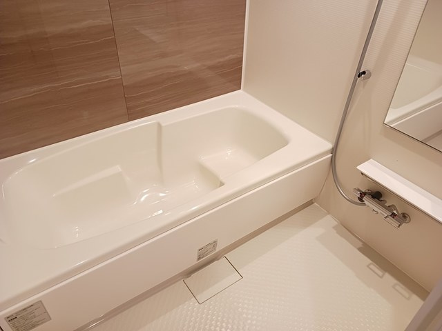 サージュⅤの浴室