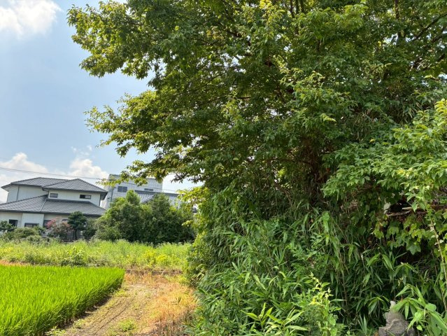 久留米市城島町江上本　売り土地の周辺