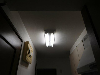 【その他】 | カウベルⅢ