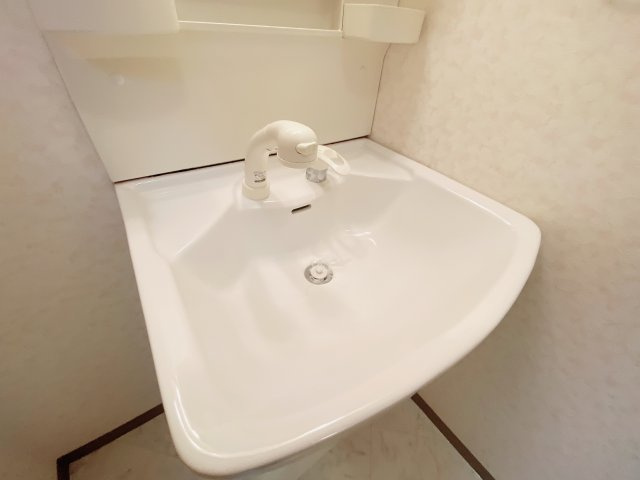 グリーンヒル矢高の洗面所