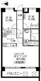 板橋区蓮根１丁目のマンションの画像