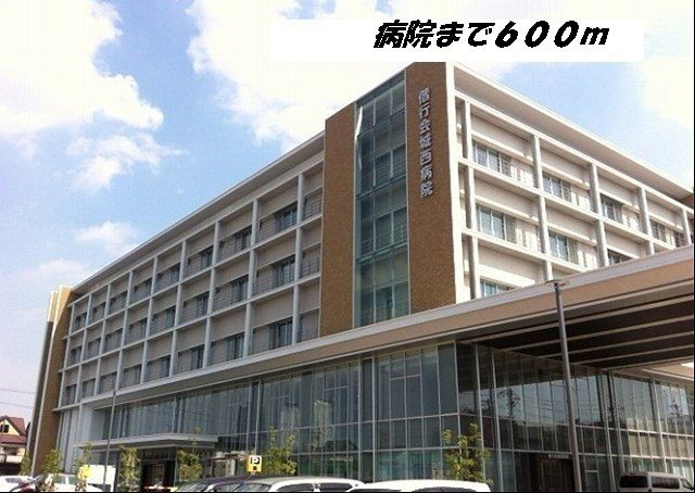 アルビレオのその他