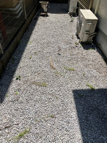 日吉町戸建の庭