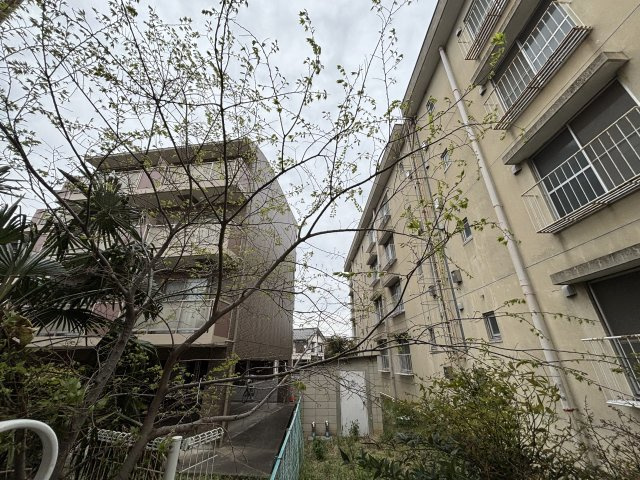 川崎市多摩区中野島４丁目のアパートの展望