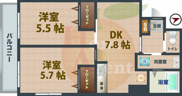 グレース桃井の画像