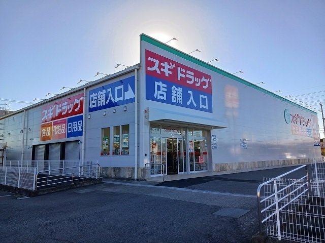 カウンシルヴェールⅠの周辺|スギ薬局大垣インター店まで1172m