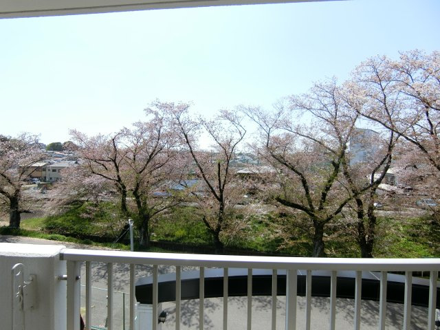 ユーハウス岡崎の展望