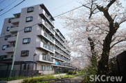 オーキッドレジデンス練馬北町の画像