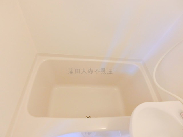 リプロンビギン蒲田24の浴室