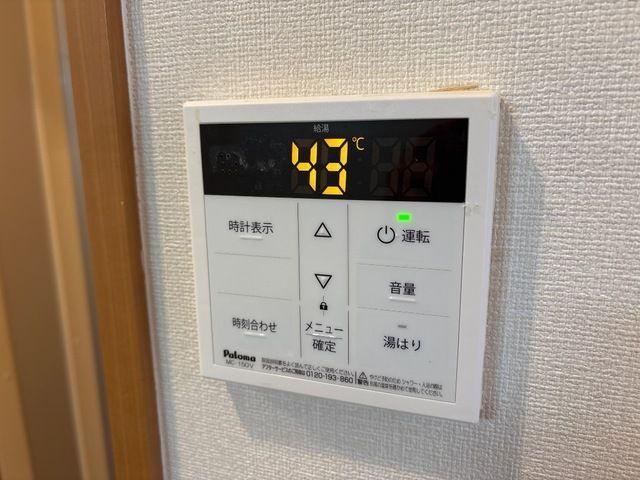 フローベールのその他