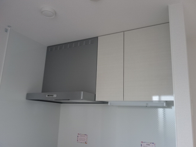 シャルマン　ヴィオラのその他