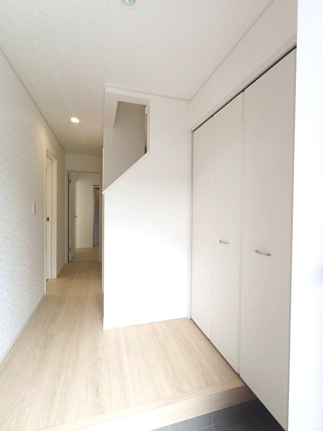 八潮市　南川崎　新築戸建　全11棟の玄関|落ち着いた玄関です