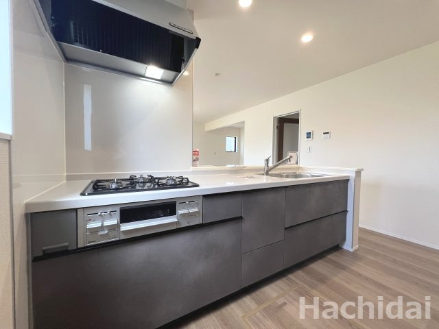 碧南市笹山町　新築戸建＜1号棟＞のキッチン|アッシュカラーでまとめられたキッチンは流行色でありながら上質な印象です。
収納豊富なシステムキッチンは、作業が快適でお手入れもカンタンです。
