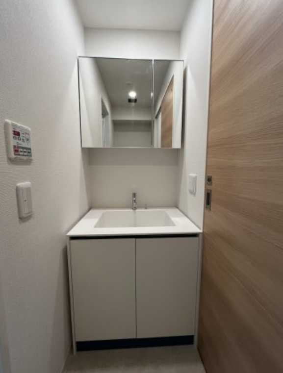 プラウドフラット三軒茶屋Ⅱ　ペット相談　ネット無料　リフォームの洗面所