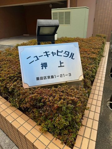 ニューキャピタル押上のその他|ニューキャピタル押上：「京成曳舟」駅徒歩４分！