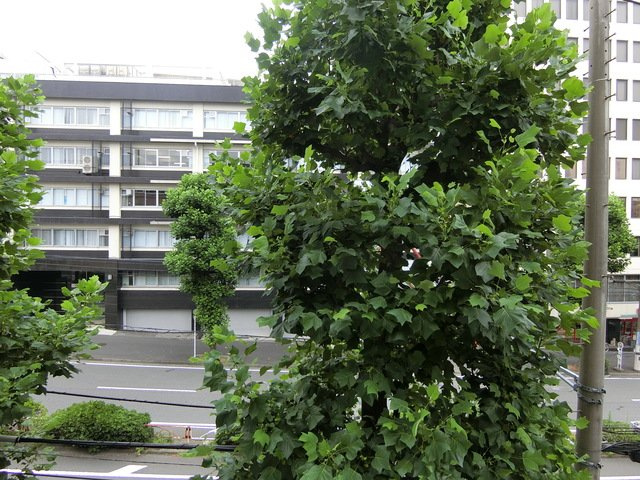 POWERHOUSE横濱の展望|展望良好♪