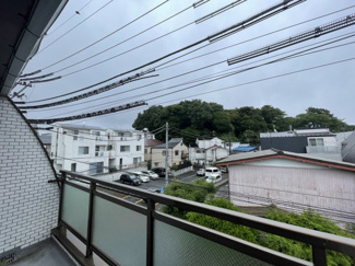 【展望】 | コスモス