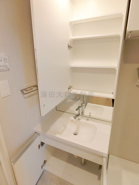 Live Casa千鳥町の洗面所