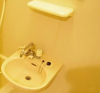 草加市住吉１丁目の賃貸マンションの洗面所