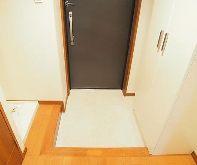 草加市住吉１丁目の賃貸マンションの玄関