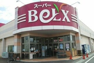 ラ・プリマベーラ越谷Ⅱの周辺|ベルクス南越谷店まで550m