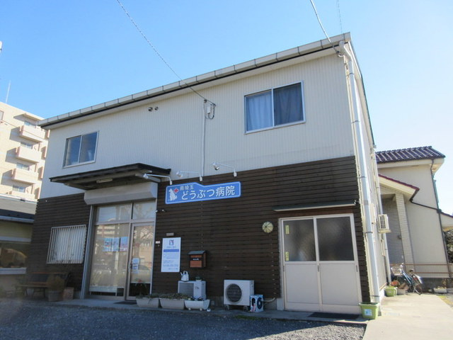 グリーンフィールド内谷弐番館のその他|南埼玉どうぶつ病院