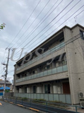 パーシモン　ジュジュベの画像