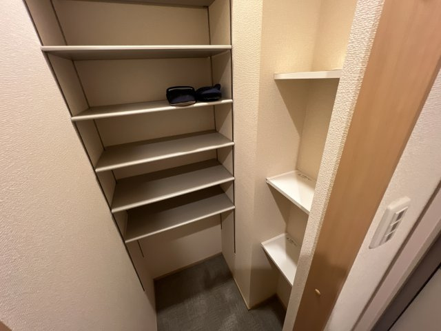 プロミネンスの収納