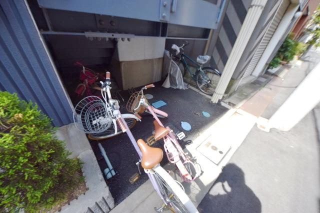 リブリ・Ｓｏｌａｓｈｉｔａのその他