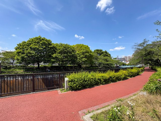 【周辺】 | 滝野川3丁目売地 | 石神井川沿いの遊歩道