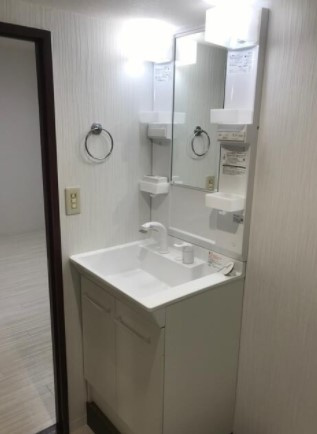 プラザ西調布の洗面所