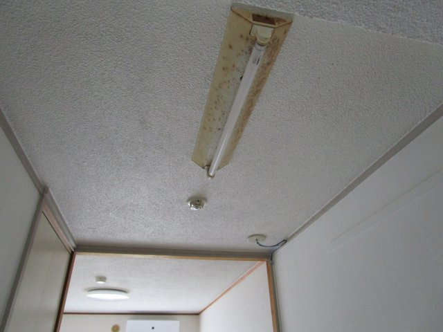 廊下の照明です♪