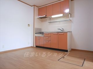 広島市安佐北区深川２丁目のアパートのキッチン|浄水器一体型シャワー水栓・床下収納あり