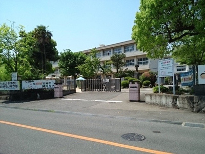【周辺】 | パークハイツ　Ｋ | 稙田小学校まで1000m