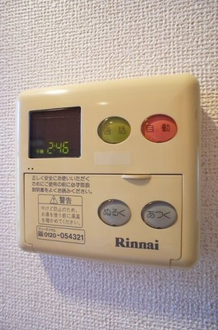 サン・プラシードＡのその他