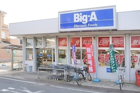 エコソラージュＢの周辺|ビッグエーまで1100m
