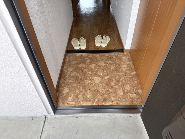 プラグレスの玄関