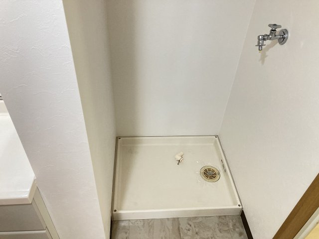 マンション酸漿のその他