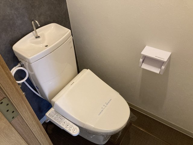 マンション酸漿の玄関
