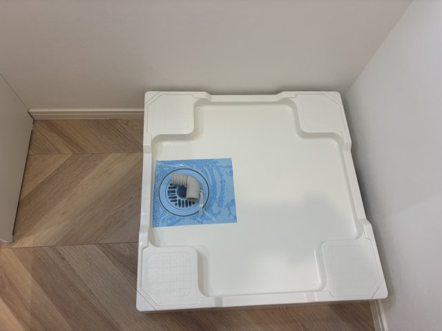 アニーサ.ケーのその他