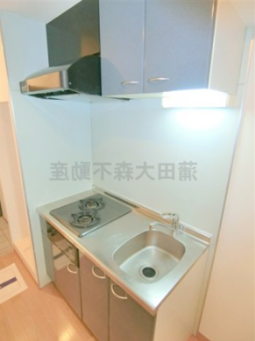 レジディア蒲田のキッチン|2口ガスシステムキッチン