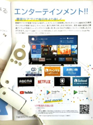 【その他】 | レオネクストＫＳＰＩＲＩＴ山桃 | インターネット設備完備