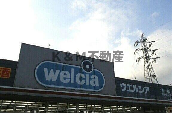 ネコデコの周辺|ウエルシアまで100m 