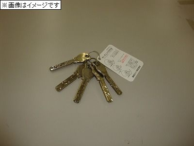 【その他】 | サンモール三国ヶ丘 | ディンプルキー