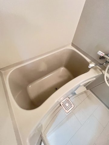 ソレイユ段上の浴室