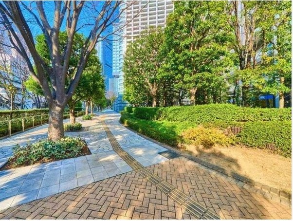 ★仲介手数料無料★東京ツインパークス（新規リフォーム済み・東京タワービュー）の庭
