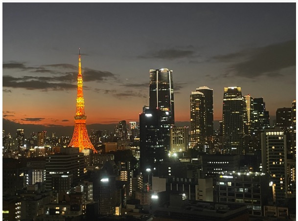 ★仲介手数料無料★東京ツインパークス（新規リフォーム済み・東京タワービュー）の展望