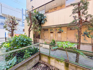 【展望】 | メゾン志村 | テラスからの眺望　当日のご見学、可能です！お気軽にお問い合わせください！※0120-133-468