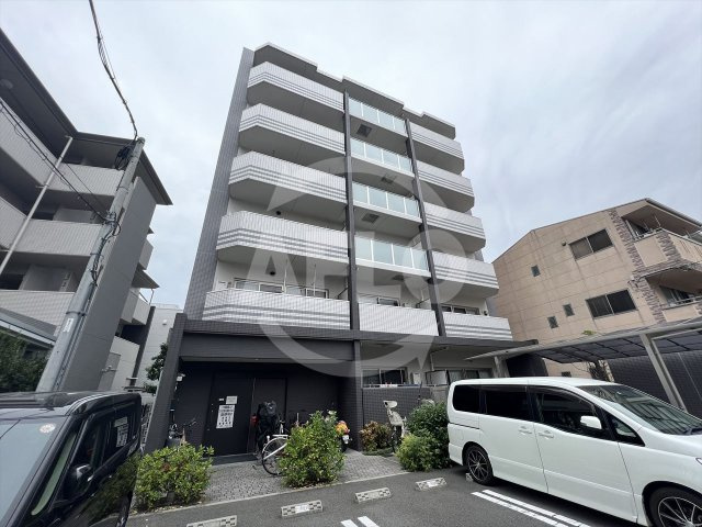 ノーザングレイス